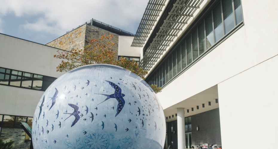 University launches new degree that blends academic subjects to focus on tackling Global Sustainability