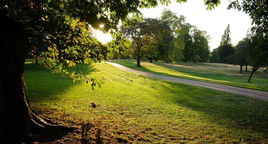 People with more nature in their neighbourhood smoke and drink less, study finds