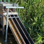 Innovative new eel pass designs offer hope for critically endangered species