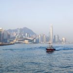Coastal mega-cities expose wildlife to ‘relentless’ boat traffic