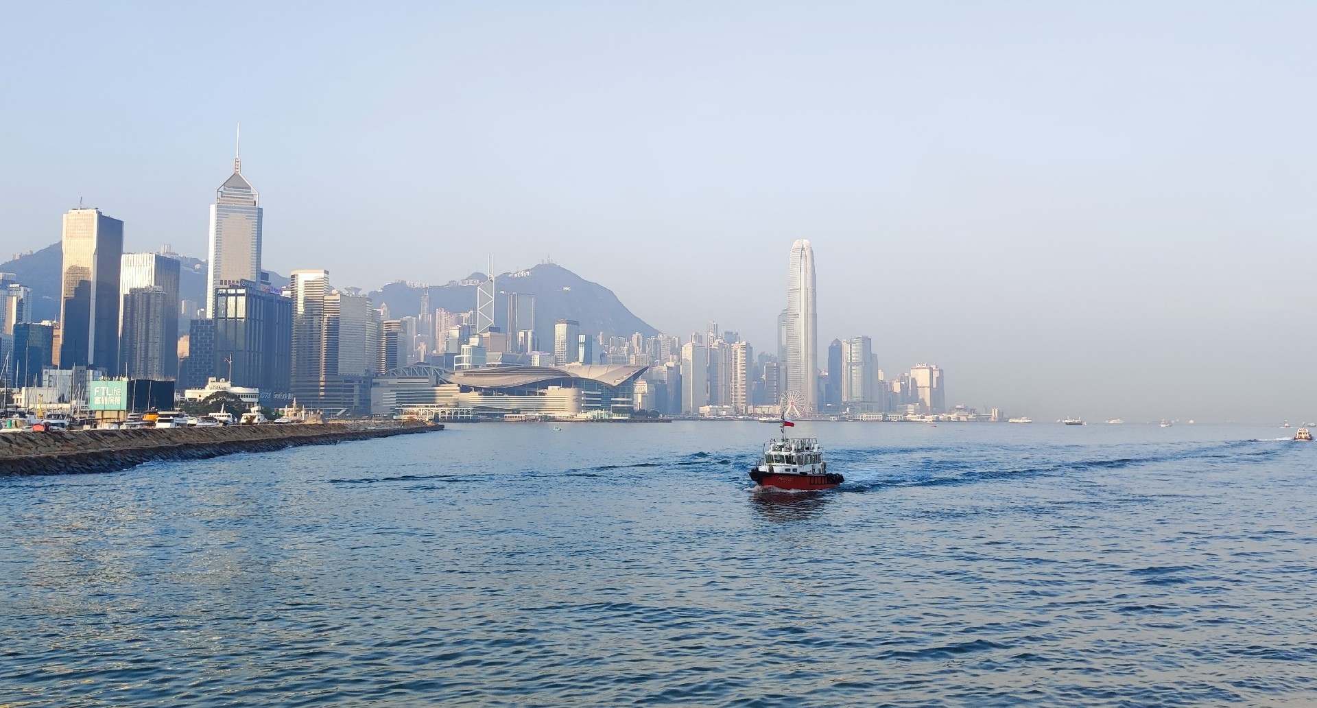 Coastal mega-cities expose wildlife to ‘relentless’ boat traffic