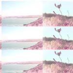 Poetry, Dance and Film Illuminate Two Iconic Nature Rich Sites in Devon and Cornwall