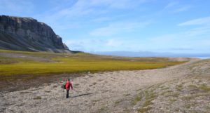 A researcher walking in a large area of peatland beside rocky land in Svalbard