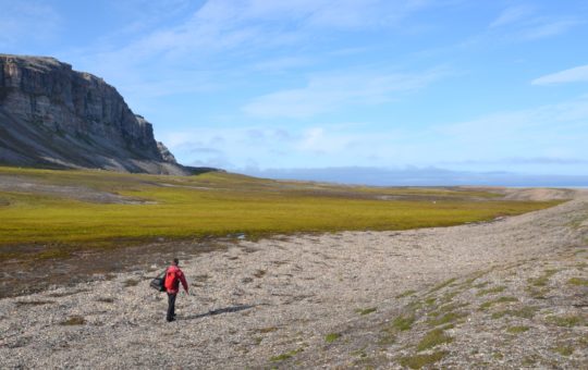A researcher walking in a large area of peatland beside rocky land in Svalbard