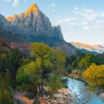 Being in nature can help people with chronic back pain manage their condition