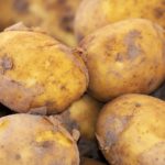 UK to lead on responsible innovation in synthetic biology