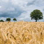 Green hydrogen transition ‘tough but necessary’