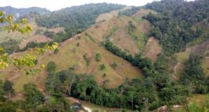 A steep, mountainous landscape with forest and pasture areas