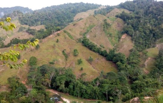 A steep, mountainous landscape with forest and pasture areas