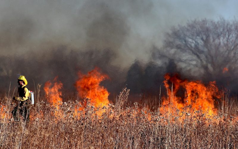 A firefighter walking in a field, with the vegetation on fire in the background