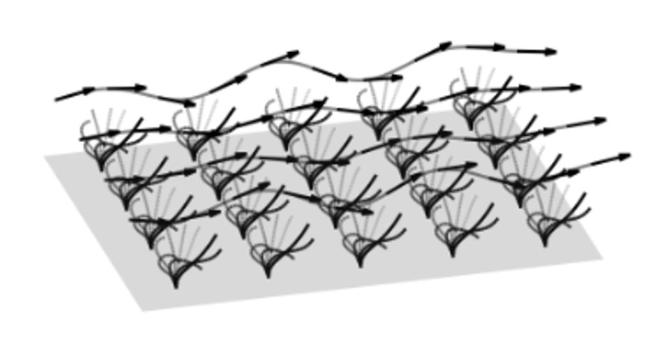Multi-million project to ‘crack the code’ of cilia – tiny structures with big impact on human health