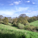 Valley conservation to boost nature connectivity  