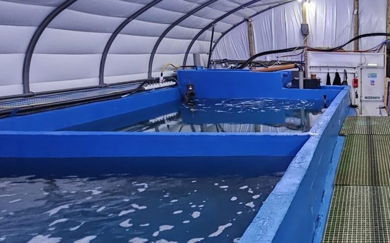 Large tanks in polytunnel building