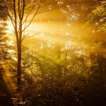 Legal flexibility helps UNESCO Biospheres boost nature conservation and human wellbeing, study shows