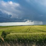 ‘Resilience Science Must-Knows’: Landmark report shows how decision makers can manage global crises