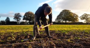 A man in a field with a large hammer, knocking some equipment into the ground. Wires can be seen running along the ground