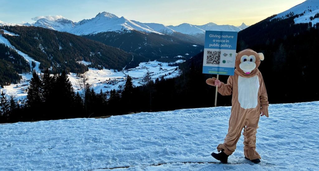 A person dressed in a monkey costume holding up a placard that says "giving nature a voice in policy"