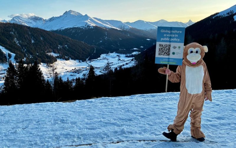 A person dressed in a monkey costume holding up a placard that says "giving nature a voice in policy"