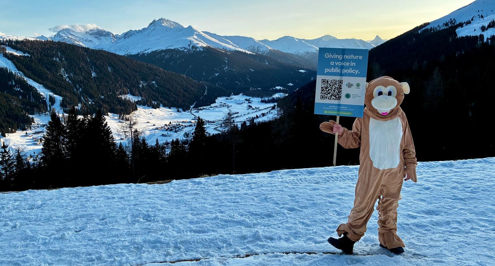 A person dressed in a monkey costume holding up a placard that says "giving nature a voice in policy"