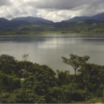 Rewilding could fill gap left by Panama’s lost giants