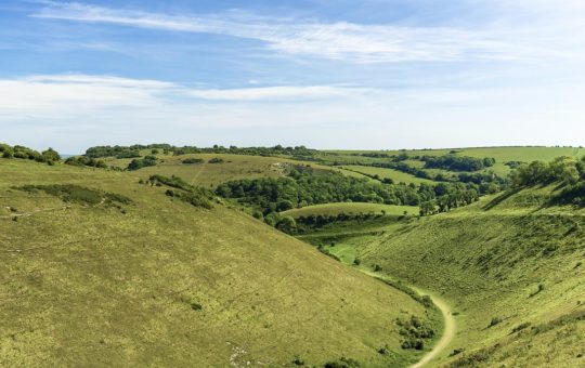 Chalk grasslands - a grassy valley under blue skies and sunshine