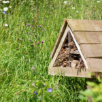 One of the world’s biggest community science events coming to Exeter for first time