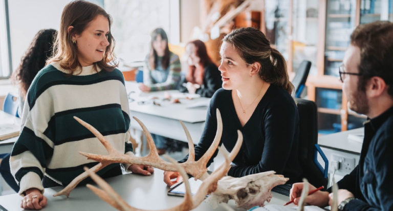 university-archaeology-degree-receives-professional-accreditation