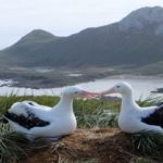 Ancient bird poo reveals how climate change may shape future populations 