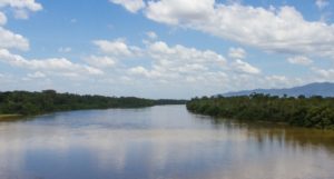 A wide stretch of river with forest on each side and blue sky and white clouds above