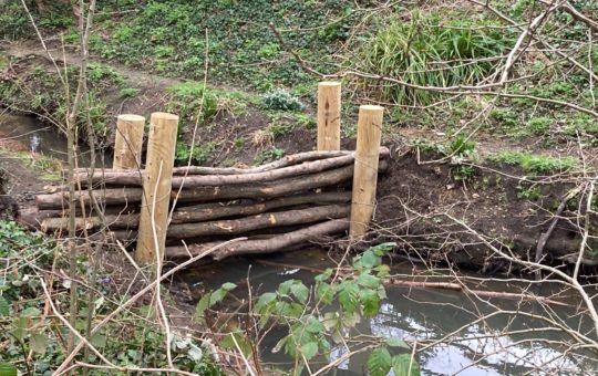 A dam in a small stream, made of long sticks/logs held up for our corner posts