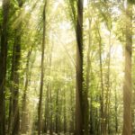 ‘Atmospheric Scrubbing’ could reduce cooling effects of stratospheric aerosol injections, study shows