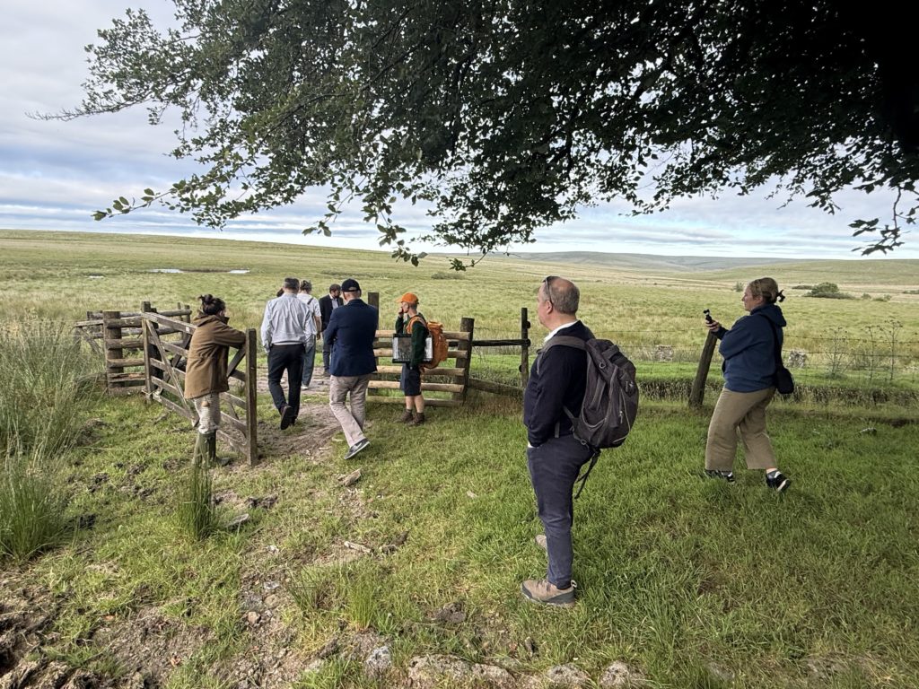A group of people walking through a gate on Dartmoor