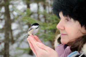 A woman holding a small bird on her finger