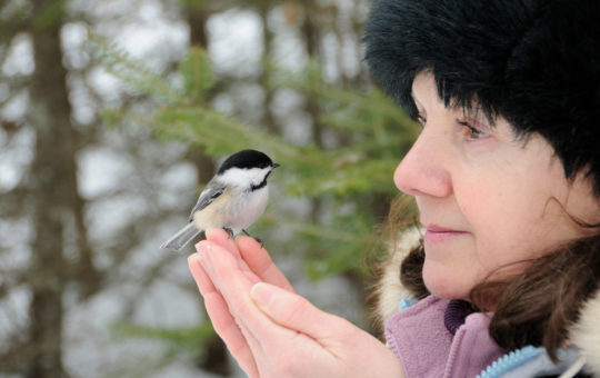 A woman holding a small bird on her finger