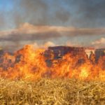 UK faces ‘highly concerning’ wildfire risk this weekend – Exeter experts comment on heatwave