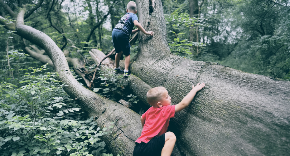 outdoor play