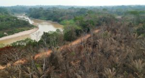 A large area of forest with a river running through it