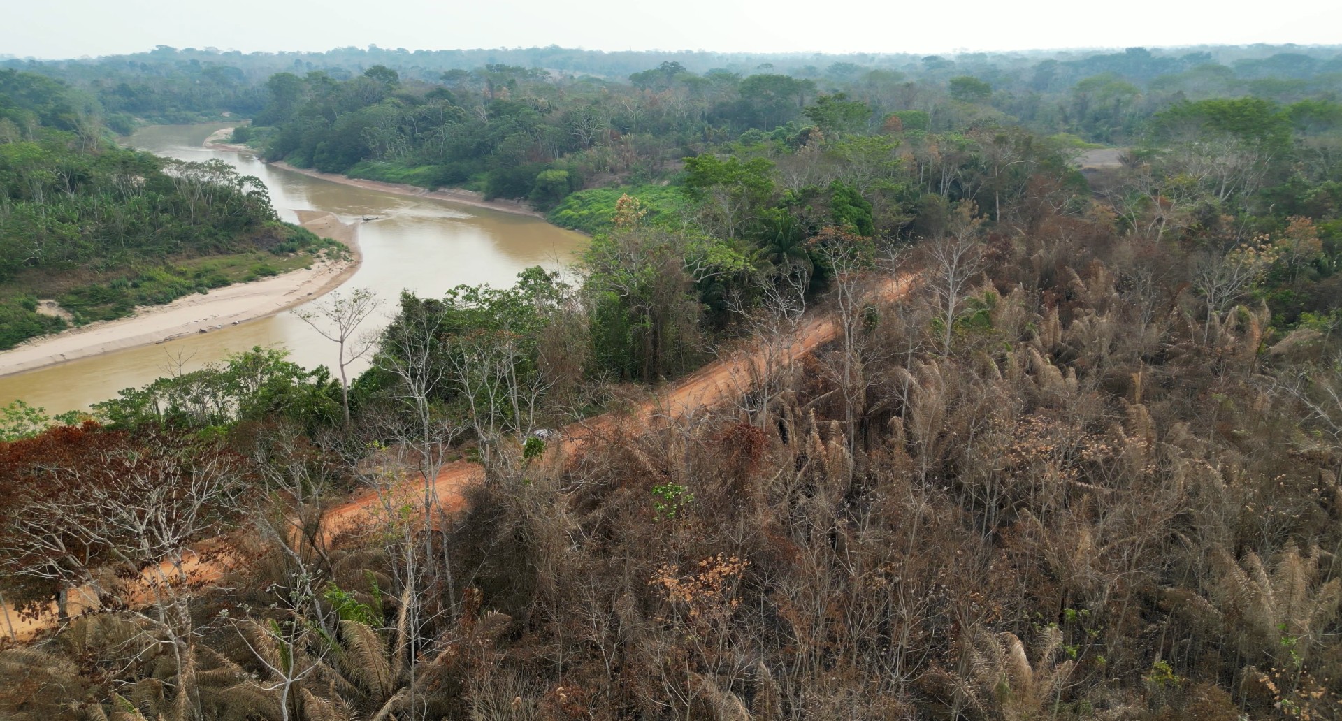 A large area of forest with a river running through it
