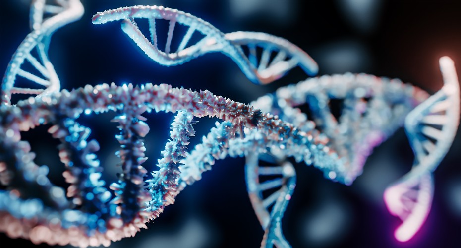 DNA helix